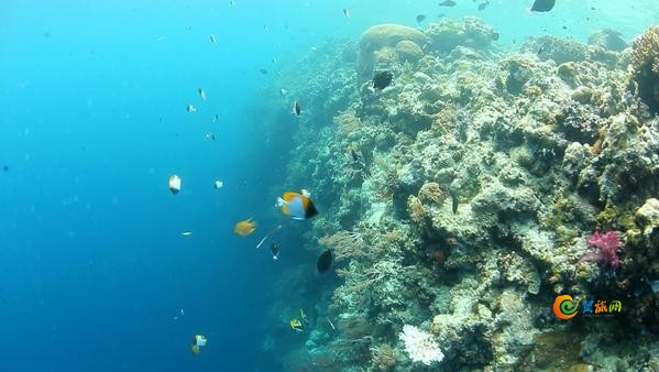 「海报全球旅拍师」之帕劳站袁姗姗