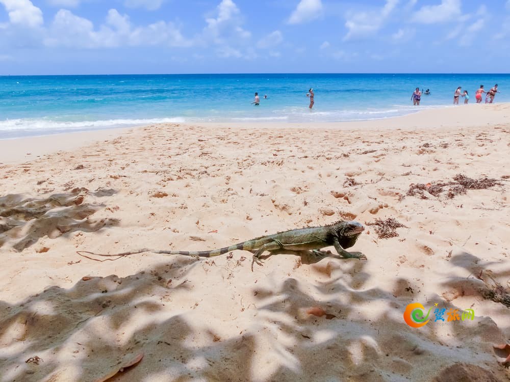 圣托马斯，美属维尔京群岛-2016 年 5 月 16 日： 加勒比热带海滩晨星的人们