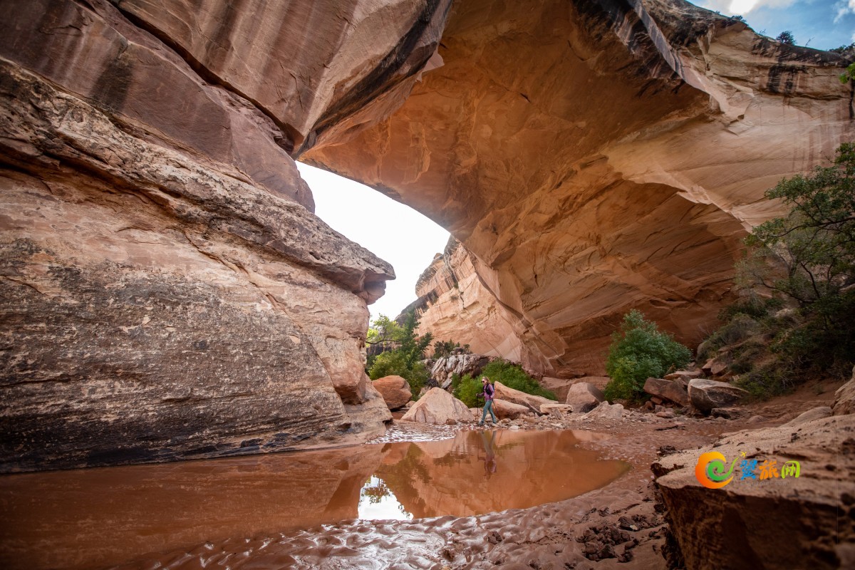 揭秘世界第一个暗夜公园 ——天然桥国家保护区（Natural Bridges National Monument） 翼旅网ETopTour